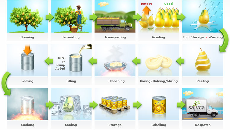 Food Canning Process Flow Chart